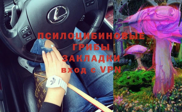 сатива Новодвинск