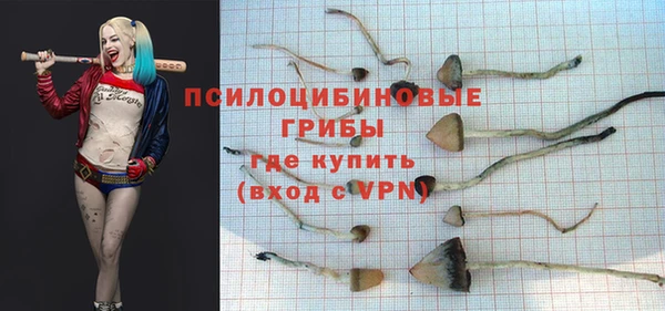 таблы Белокуриха