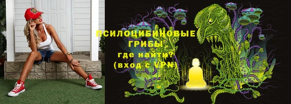 стафф Карпинск