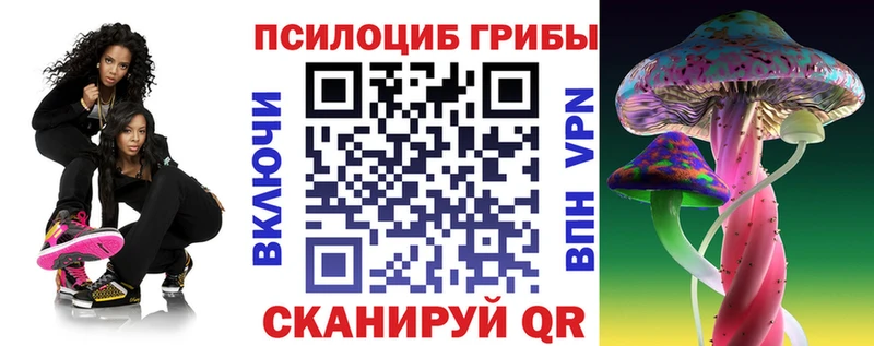 Псилоцибиновые грибы MAGIC MUSHROOMS  наркотики  Окуловка 